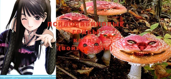 jwh Абинск