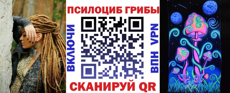 Галлюциногенные грибы Psilocybine cubensis  Холм 