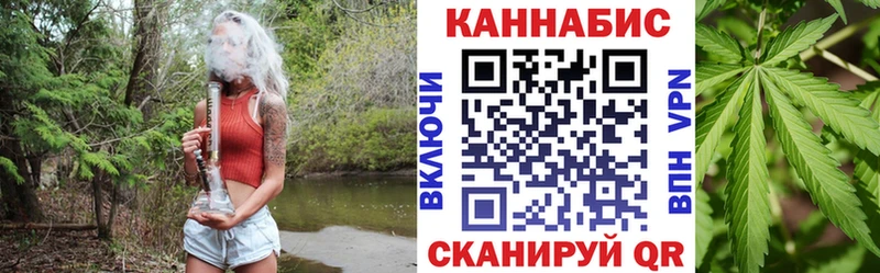 Шишки марихуана планчик  Холм 